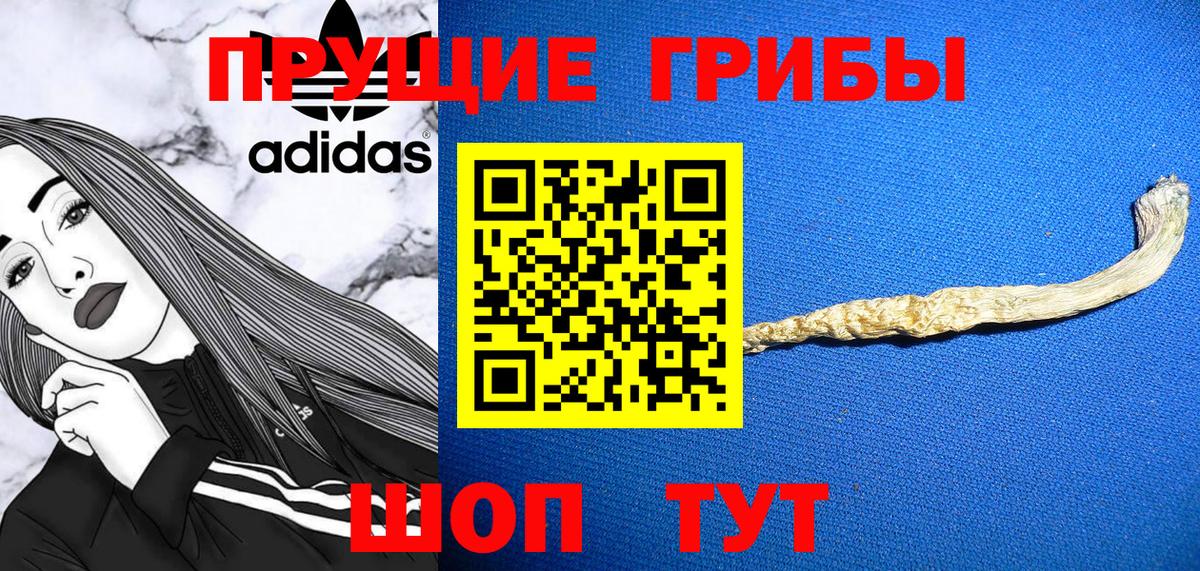 Псилоцибиновые грибы прущие грибы  Вход с VPN  Гулькевичи 